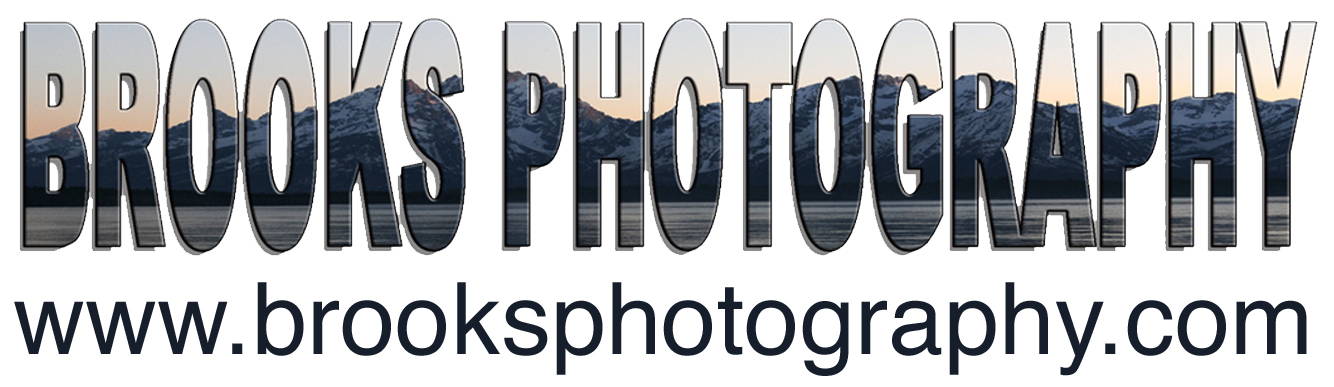 Brooks Photography